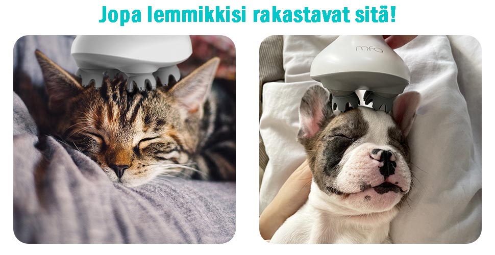 Lemmikit rakastavat sitä myös